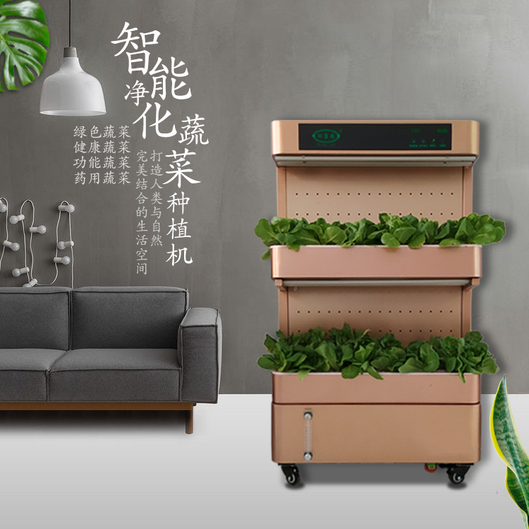 Khu vực công cộng của văn phòng ban công với một loại thực vật sạch sẽ mà không có các thiết bị trồng trái đất
