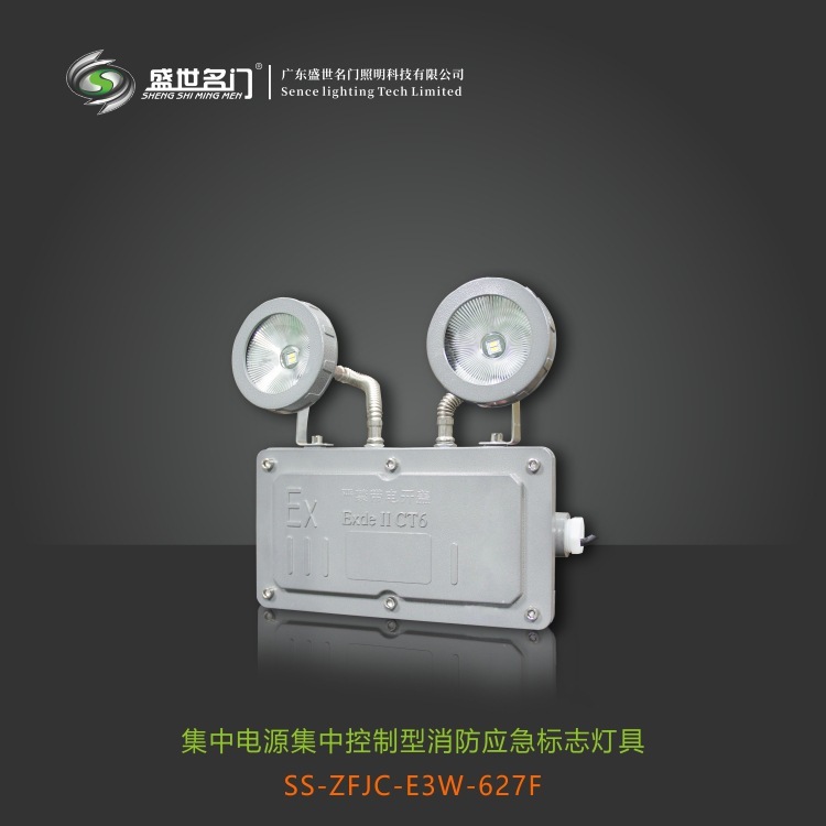 External trade export IP65 Waterproof Emergency Lights