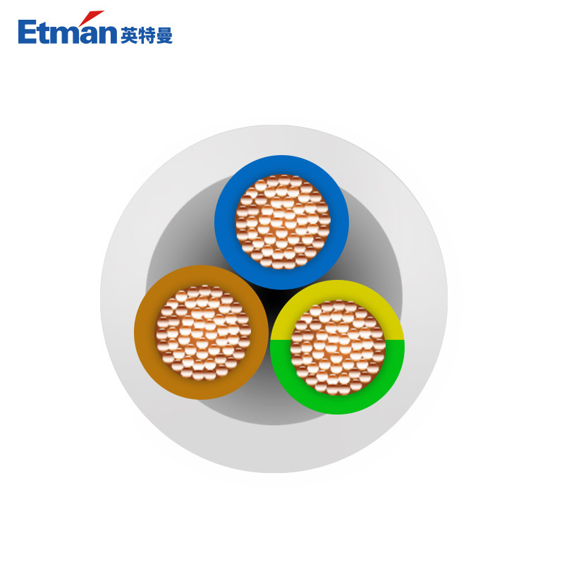 3 foot extension lines for industrial connections to the Intman 3-chip 5-metre 10-A-naked tail wire plugs