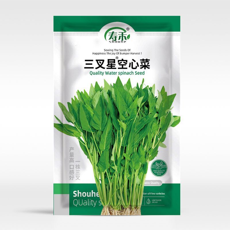 Hạt bắp cải ba lớp với thời gian dài làm vườn bắp cải
