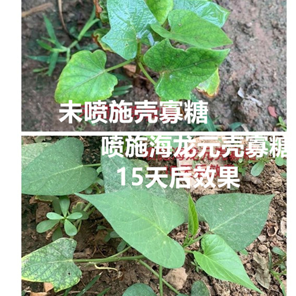 The real plant's agricultural oligopoly, low-humpera, vegetable and fruit growth regulation root 1kg