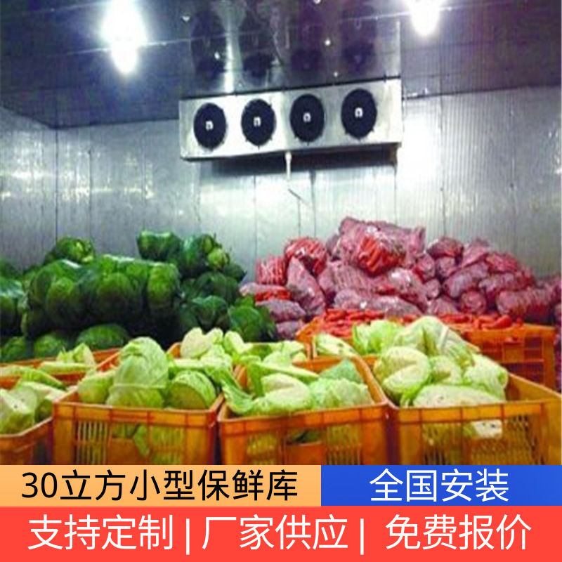 Beijing Freshly Delivered Refrigeration Refrigeration Plant Refrigeration Store Quick Frozen Refrigeration Store 30 Cubic Refrigeration Store