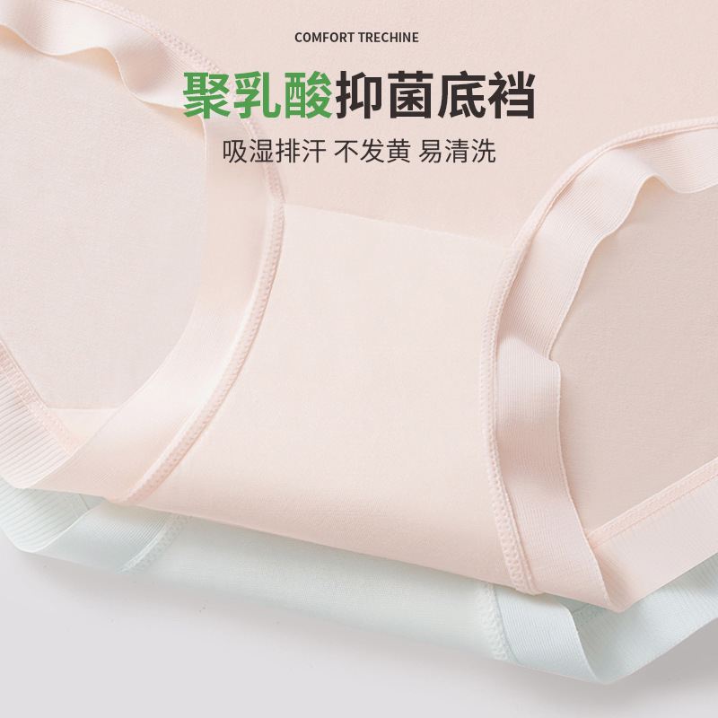Một cái quần lót của Morandi đơn giản, cao cấp, một miếng thạch cao polylacid, một cái Mordell màu sắc.