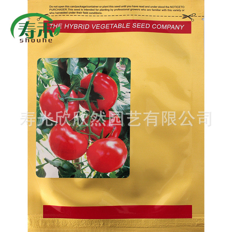 Hạt cà chua Israel-67F1, sự phát triển không giới hạn, quả hạch đỏ lớn, sự cứng rắn tốt, kháng bệnh, năng suất cao.