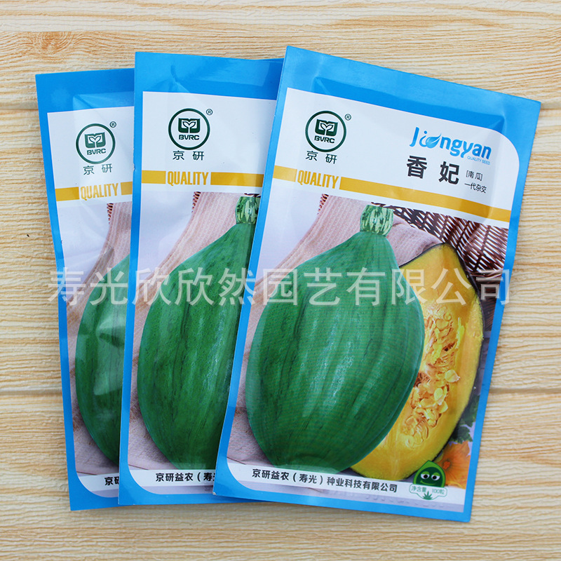 Hạt giống bí ngô.