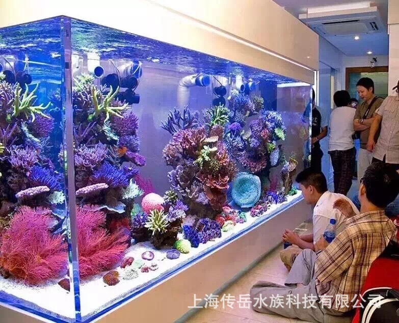 그것은 큰, 투명한 물고기 탱크입니다.