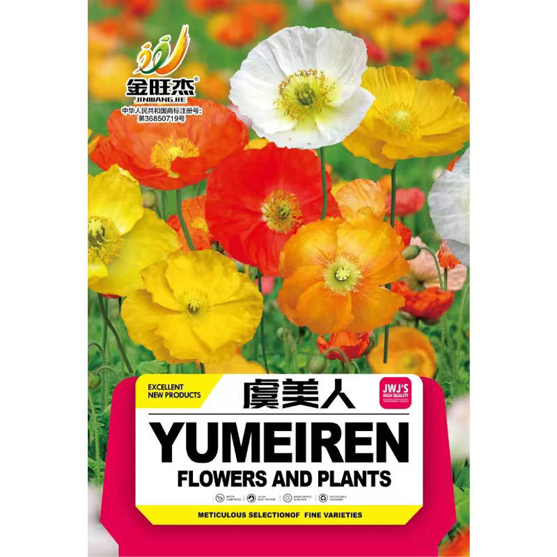 Hạt giống của những ngọn giáo ngoạn mục, hạt giống đỏ của những cánh hoa nặng ở Iceland.