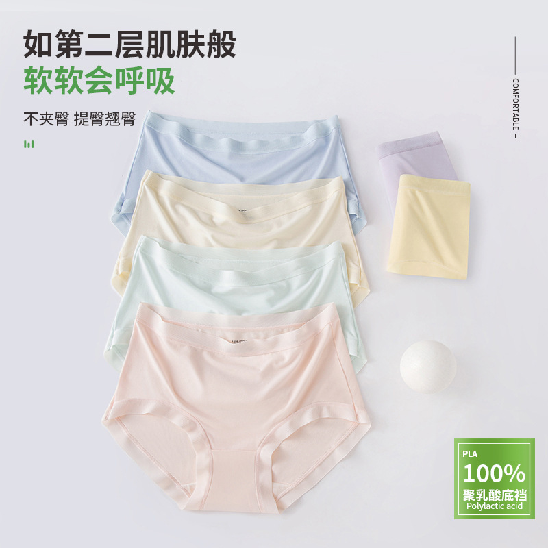 Một cái quần lót của Morandi đơn giản, cao cấp, một miếng thạch cao polylacid, một cái Mordell màu sắc.