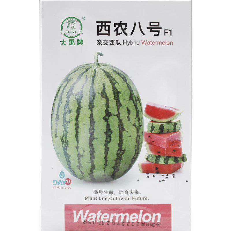 Hạt giống hạt giống ở Westinon 88 non ở mùa xuân hướng về phía nam để trồng.