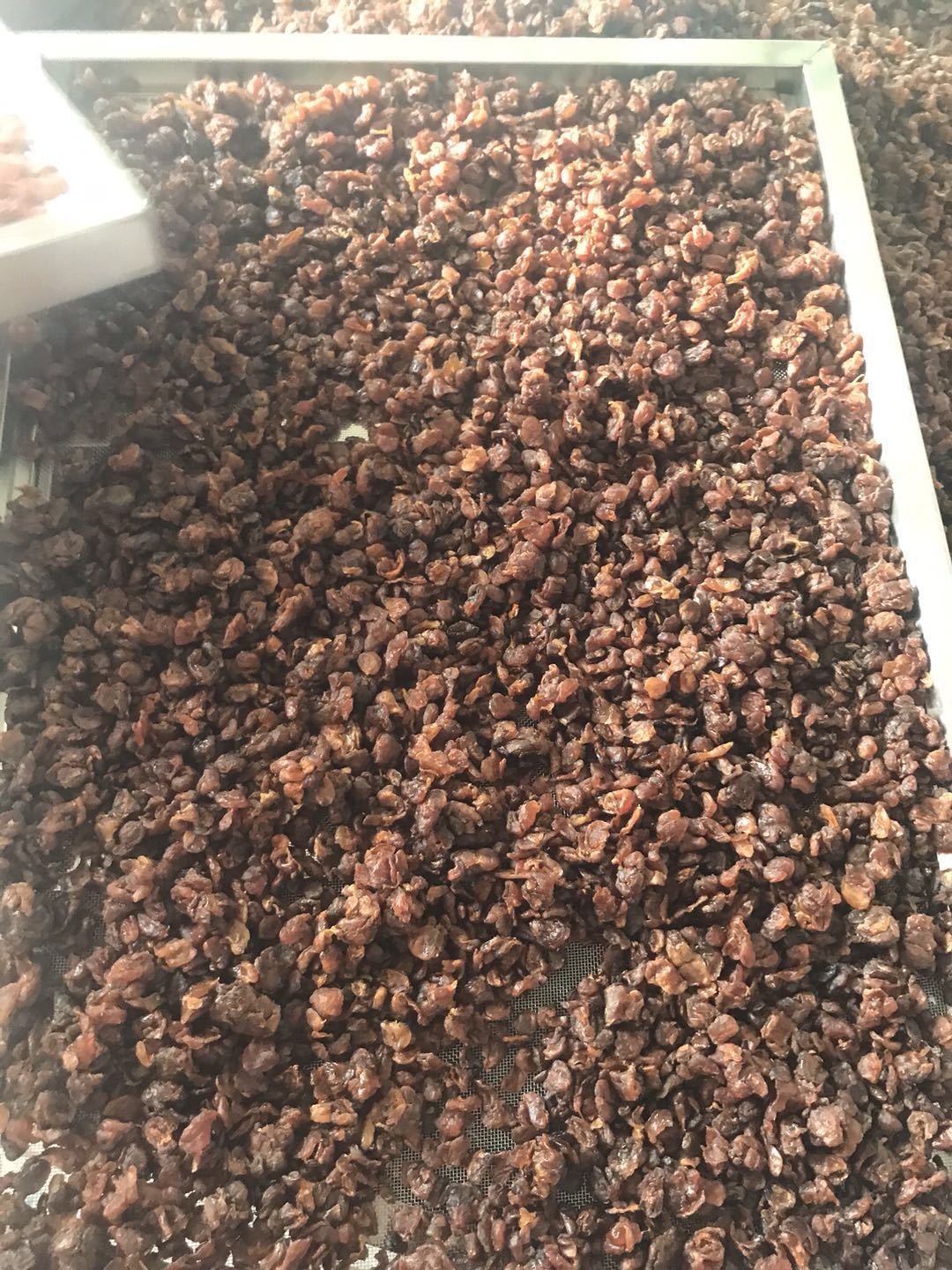 Toàn bộ quế quế, quế khô, 500 g-ye quế khô, nhưng quế thì không.