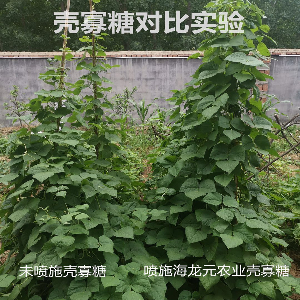 The real plant's agricultural oligopoly, low-humpera, vegetable and fruit growth regulation root 1kg