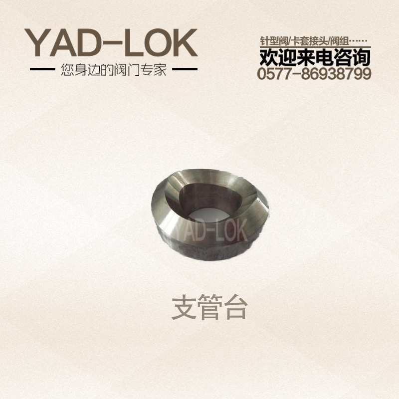 YADLOK Yadden stainless steel piping, head, seat.