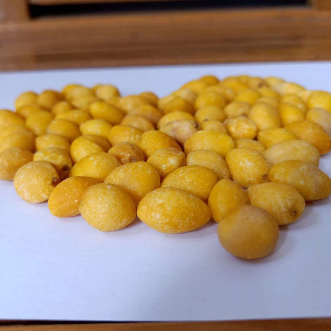 ♪ The Five Valley Mills baked with cold, cold, silver almonds and dry with dry, silver almonds ♪