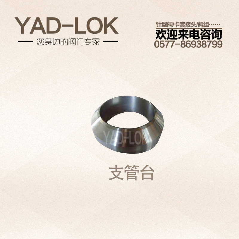 YADLOK Yadden stainless steel piping, head, seat.