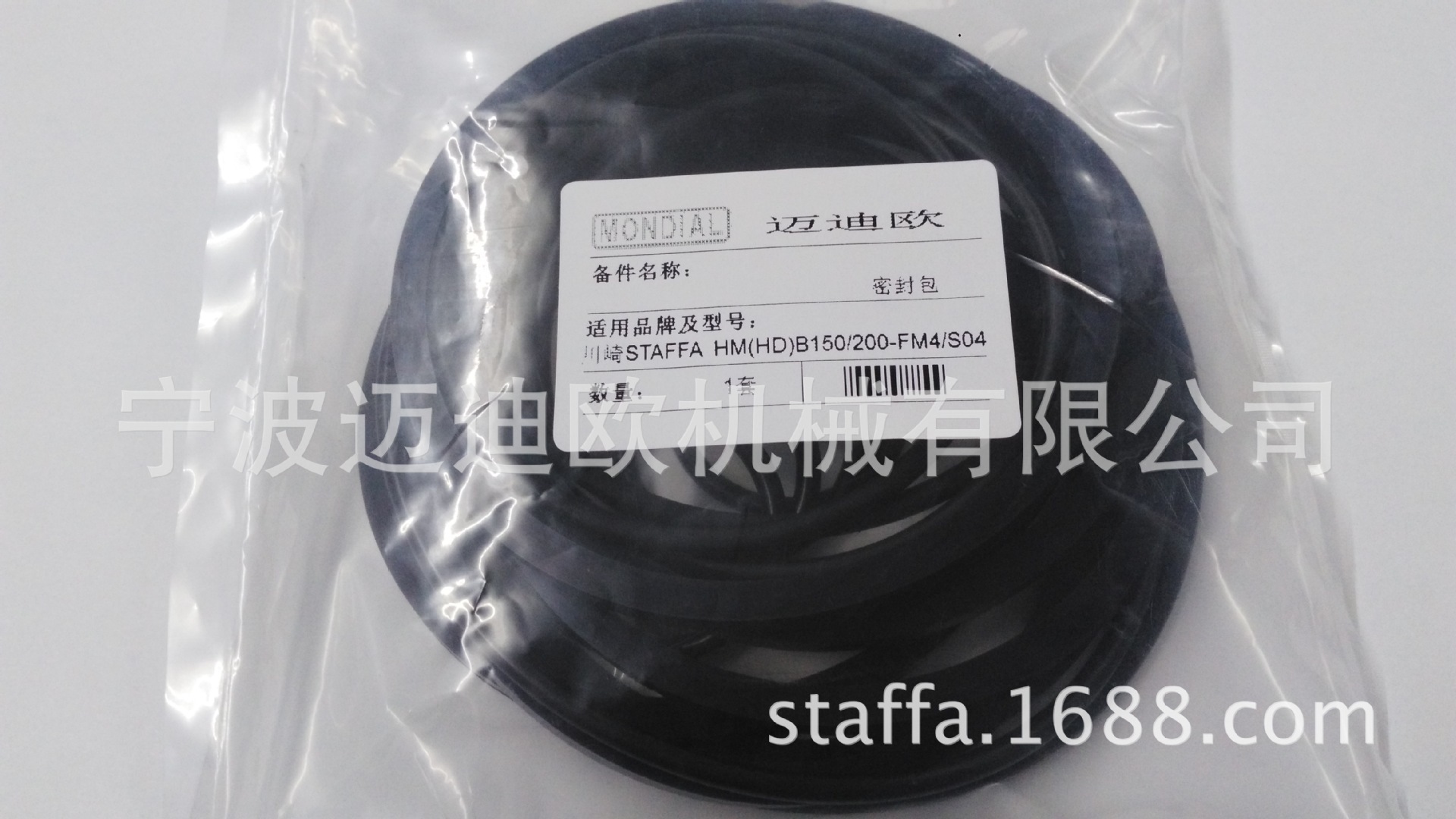 Staff hydraulic motor HM (HD) B150/200-FM4/S04 sealed accessories