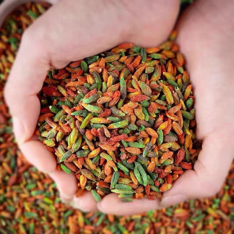 Ningxia nhỏ xíu, xoay 40 pound, 2024, tóc xoắn.