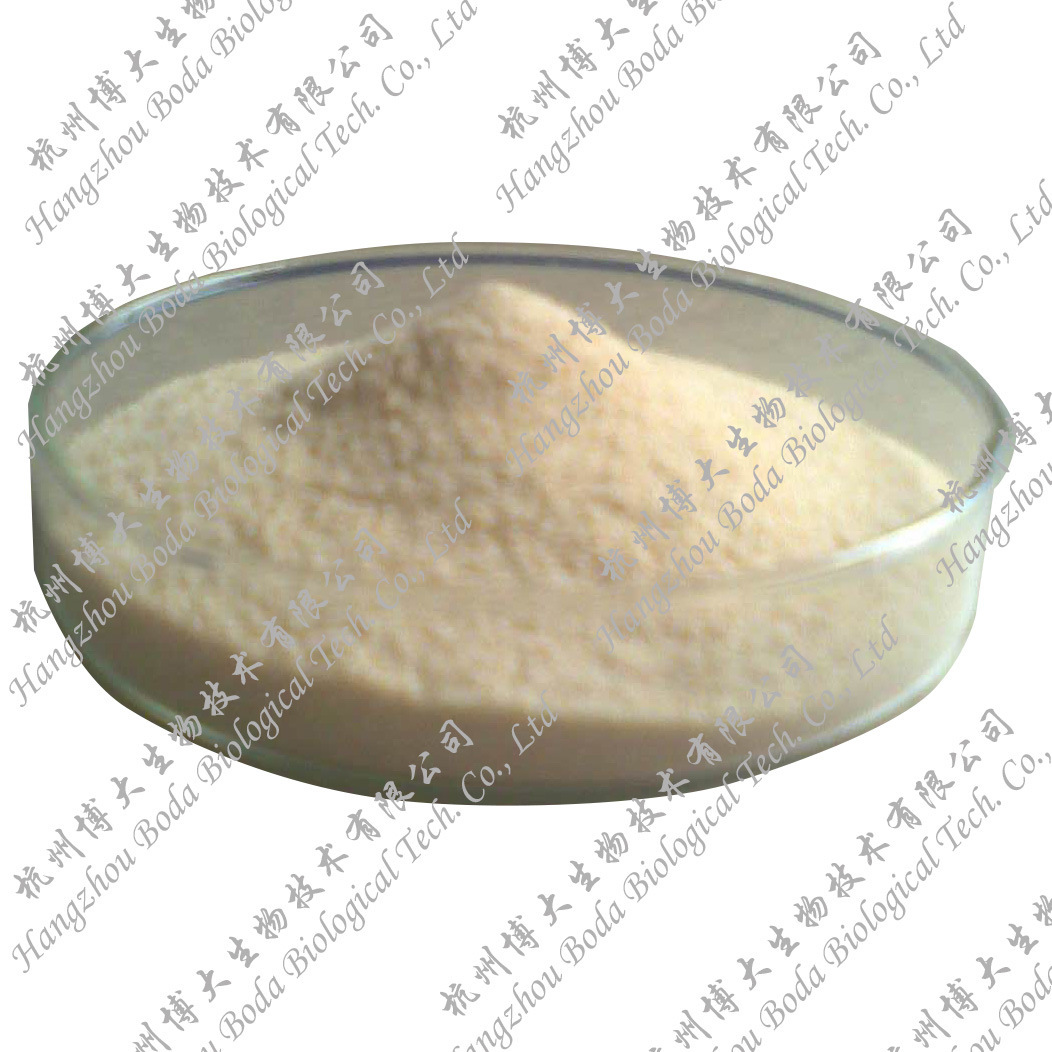 Conp Tea Powder.