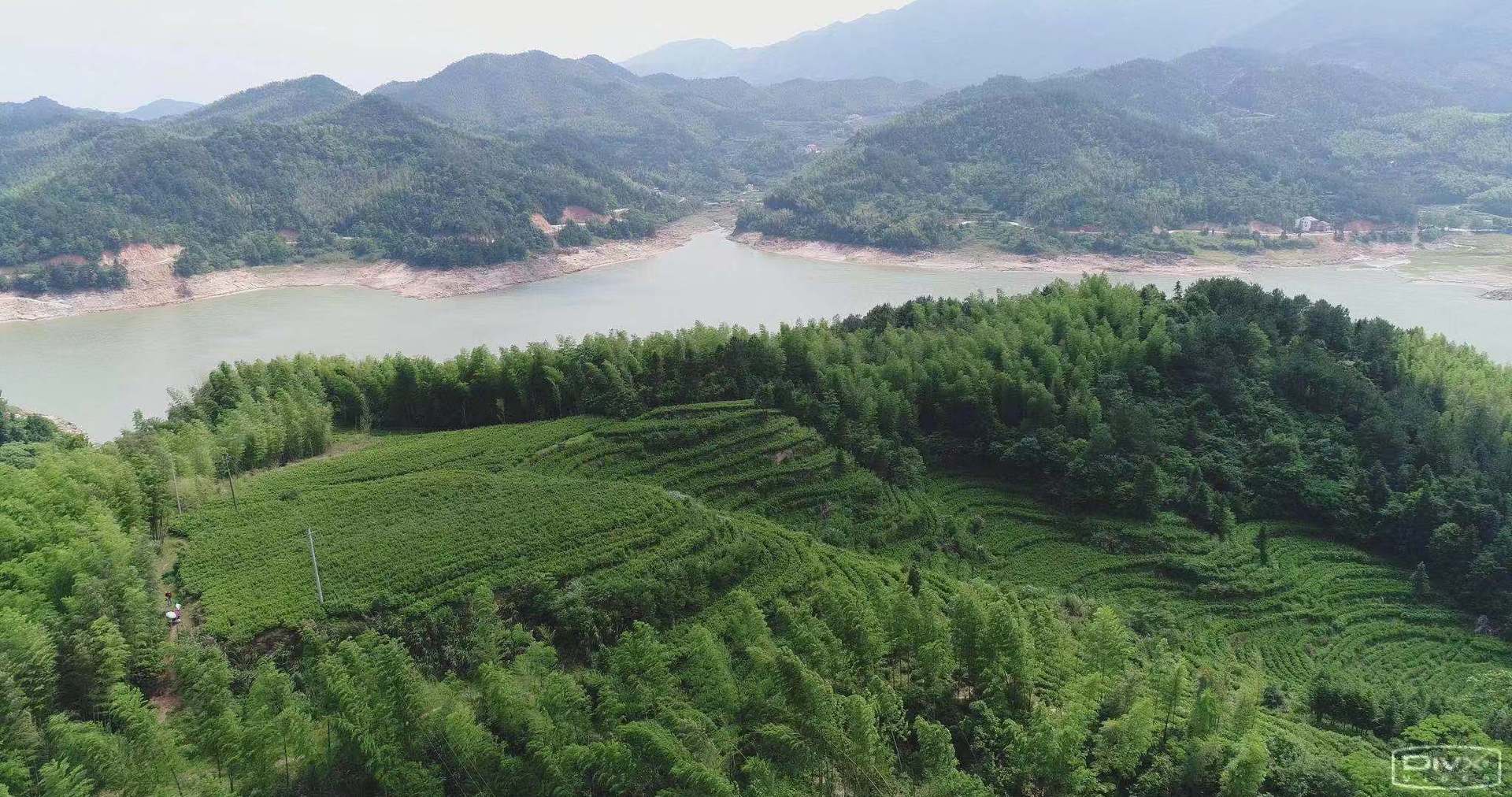 Trà mới, trà xanh, trà tươi, trà tươi, trà tươi, trà tươi, trà tươi, trà tươi, trà tươi, trà tươi, trà tươi, trà tươi, trà tươi, trà tươi, trà tươi, trà tươi, trà tươi, trà xanh, trà xanh, trà xanh, trà xanh tươi, trà xanh, trà xanh lá cây, trà xanh lá cây, trà xanh lá cây, trà xanh lá cây, trà xanh lá cây, trà xanh lá cây, trà xanh tươi, trà trà xanh lá cây, trà xanh lá cây, trà xanh tươi, trà xanh lá cây, trà xanh lá cây, trà xanh, trà xanh tươi, trà xanh lá cây, trà xanh, trà xanh lá cây, trà xanh, trà xanh, trà xanh, trà xanh, trà xanh, trà xanh, trà xanh tươi, trà xanh, trà xanh, trà xanh, trà xanh tươi, trà xanh tươi, trà xanh, trà xanh, trà xanh, trà xanh, trà xanh, trà xanh, trà xanh, trà xanh, trà xanh, trà xanh, trà xanh, trà xanh, trà xanh, trà xanh, trà xanh, trà, trà, trà xanh, trà xanh, trà xanh, trà xanh, trà xanh, trà xanh, trà xanh, trà