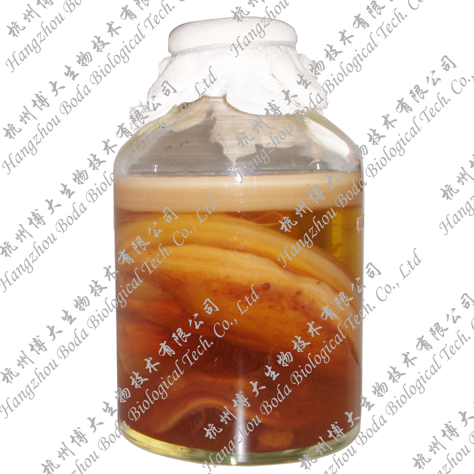 Conp Tea Powder.