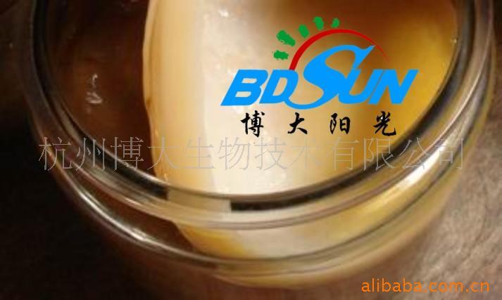 康普茶（KOMBUCHA） 红茶菌