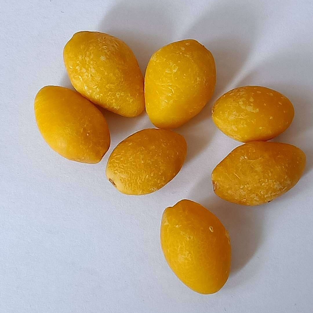 Wholesale price, five valley mills, dry silver apricot.