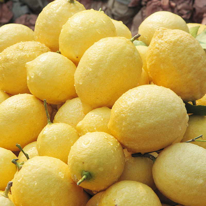 ที่นี่สําหรับกล่องส้มสดทั้งกล่องในซิจูน