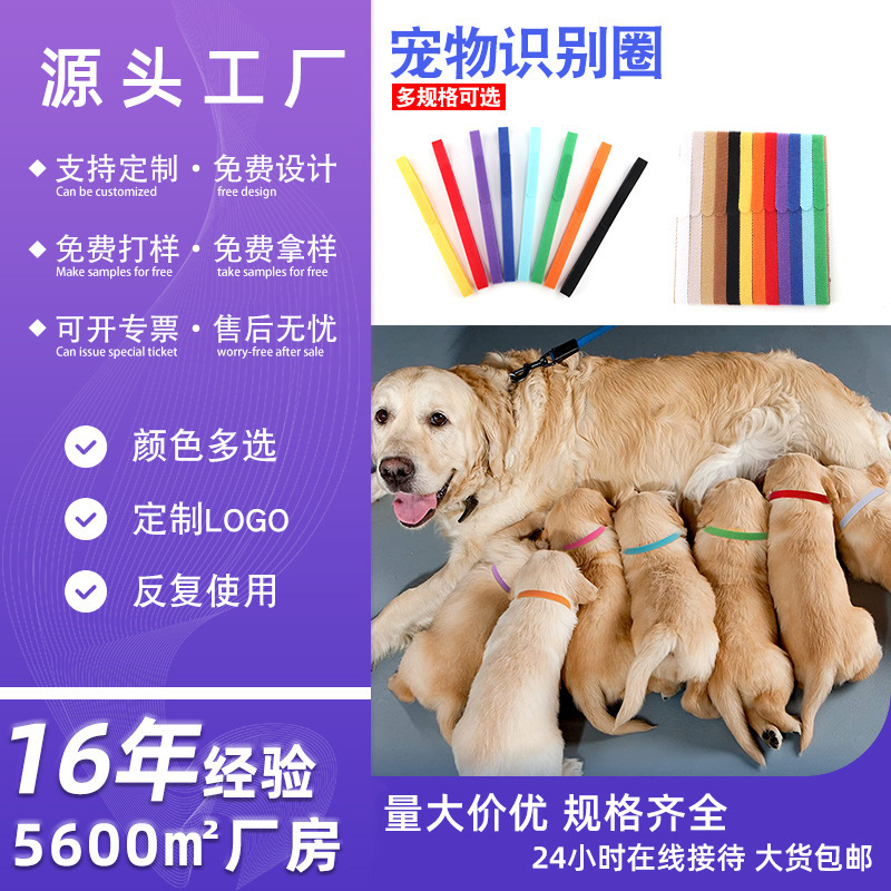 The factory directly sells new pets to identify the cat-and-dog color collar with the baby dog birth mark.