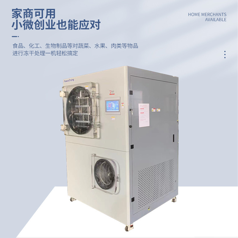 Frozen dryer home-based experimental dryer of fruit and vegetable meat with a small smart vacuum dryer