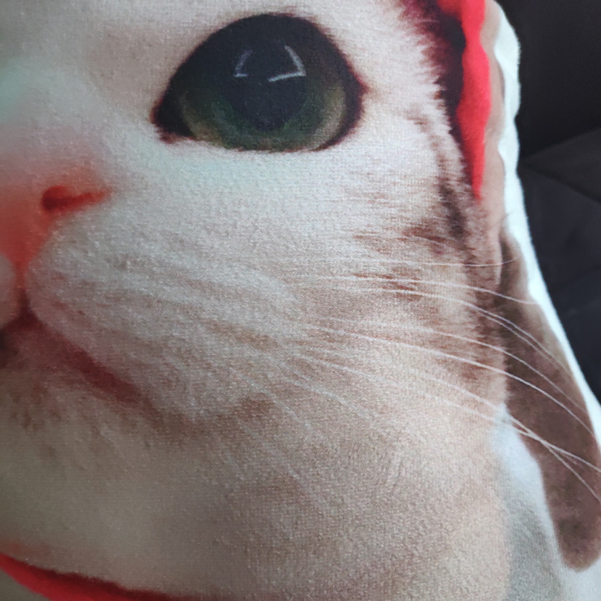 A pet with an alien pillow, an Amazon Nordic DIY order, a sofa with pictures of cat and dog on a pillow.