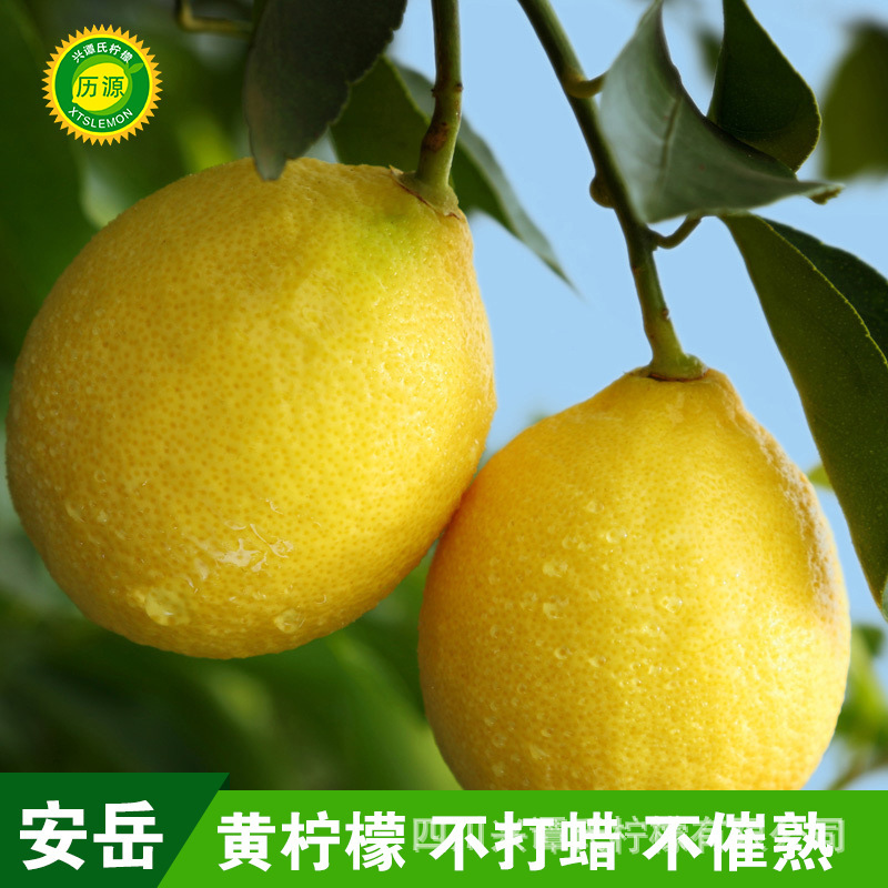 The place is for a whole box of fresh orange lemons in Sichuan.