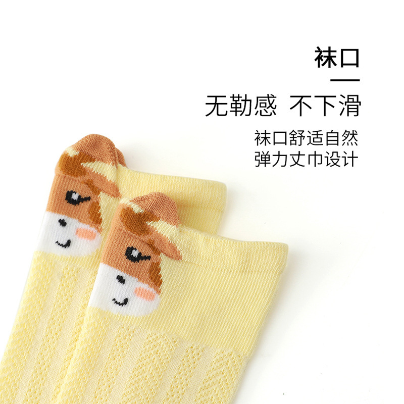 Baby Sock, mùa xuân và mùa hè, Sox Baby Net, Sock Sock.