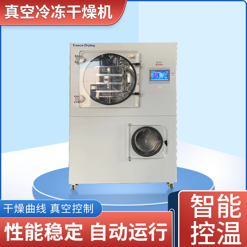 Frozen dryer home-based experimental dryer of fruit and vegetable meat with a small smart vacuum dryer