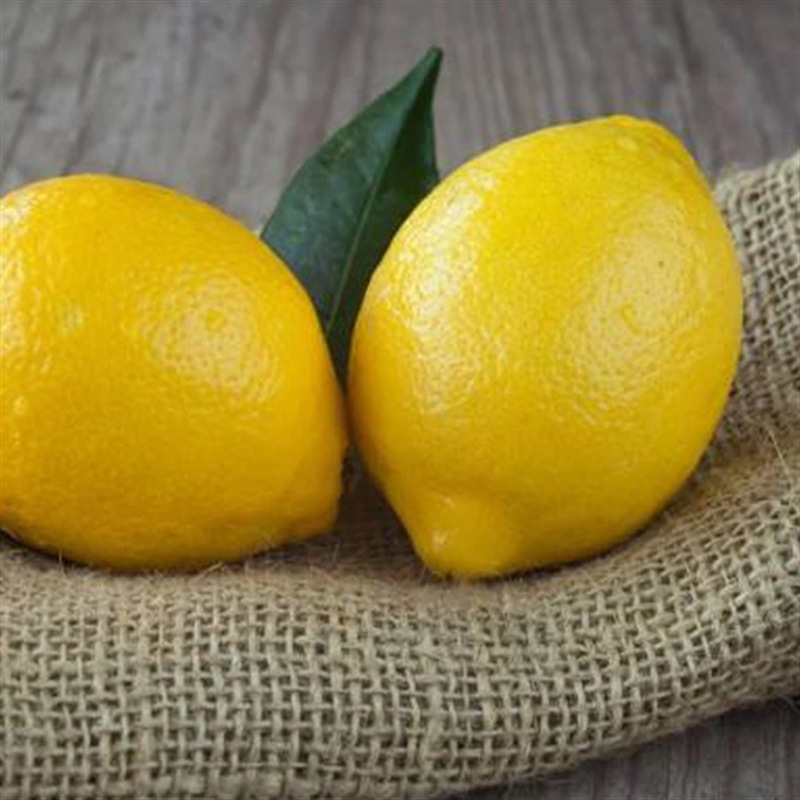 신선한 레몬과 신선한 yolk 과일, 우유 및 차.