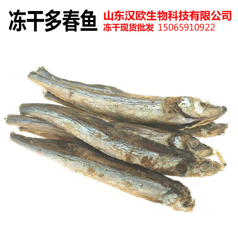 寵物凍幹零食凍幹大號多春魚帶籽寵物貓零食狗零食廠家OEM代加工