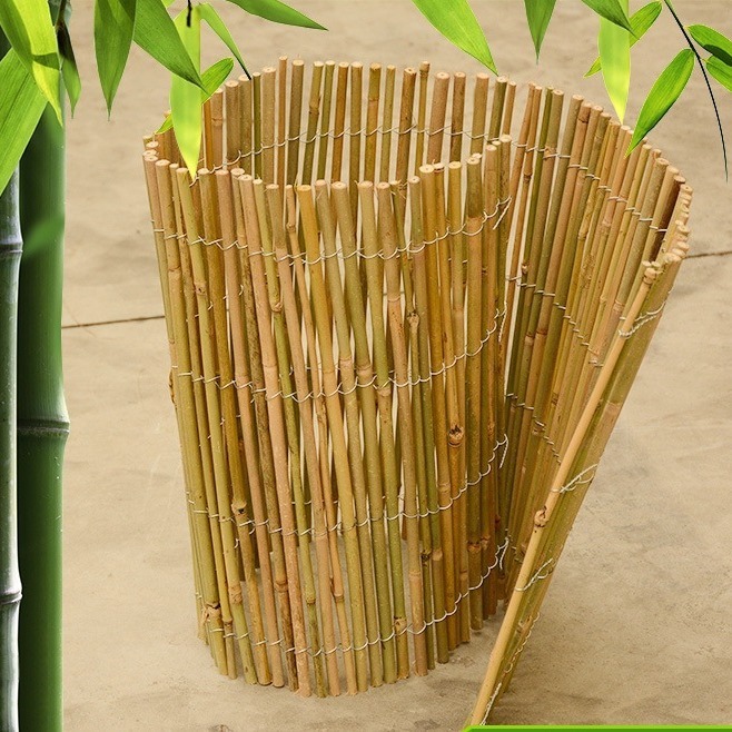 Hàng rào tre, hàng rào tre, hàng rào tre, vườn ngoài trời.