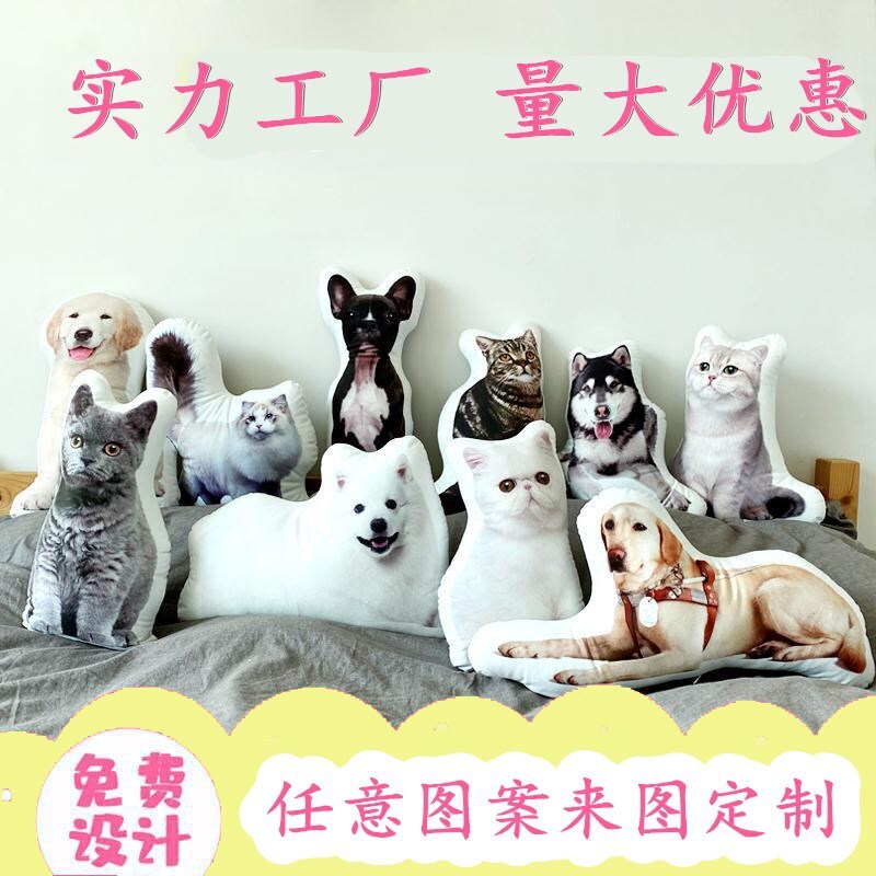 A pet with an alien pillow, an Amazon Nordic DIY order, a sofa with pictures of cat and dog on a pillow.
