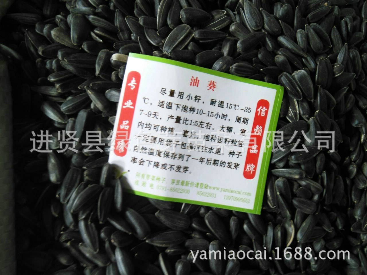 열매의 씨앗, 해바라기 씨앗, guacamole의 씨앗.