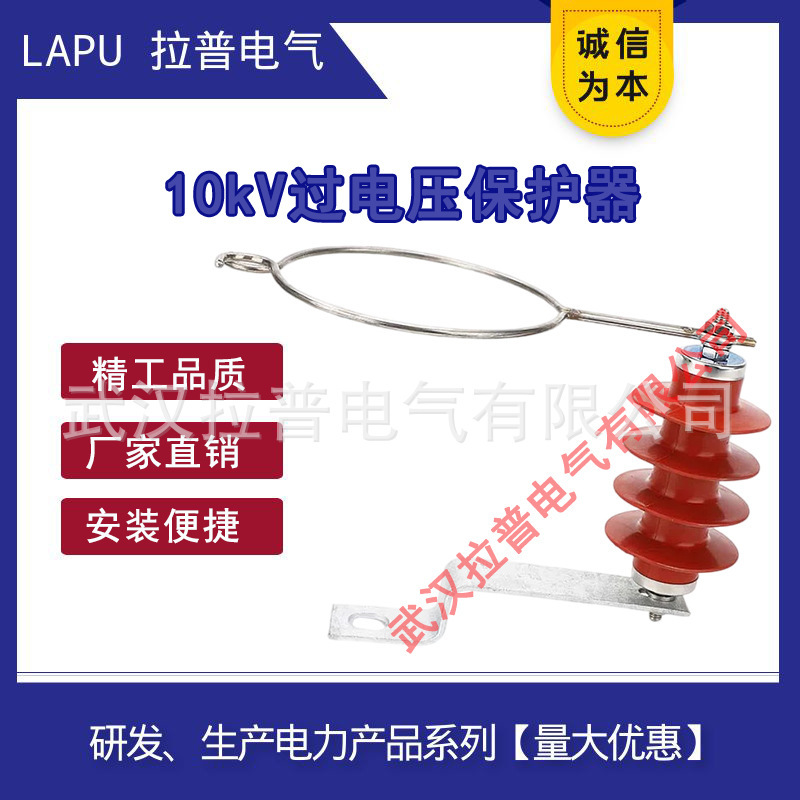 Rapp 10kV empty-line voltage protection high pressure zinc oxide shield