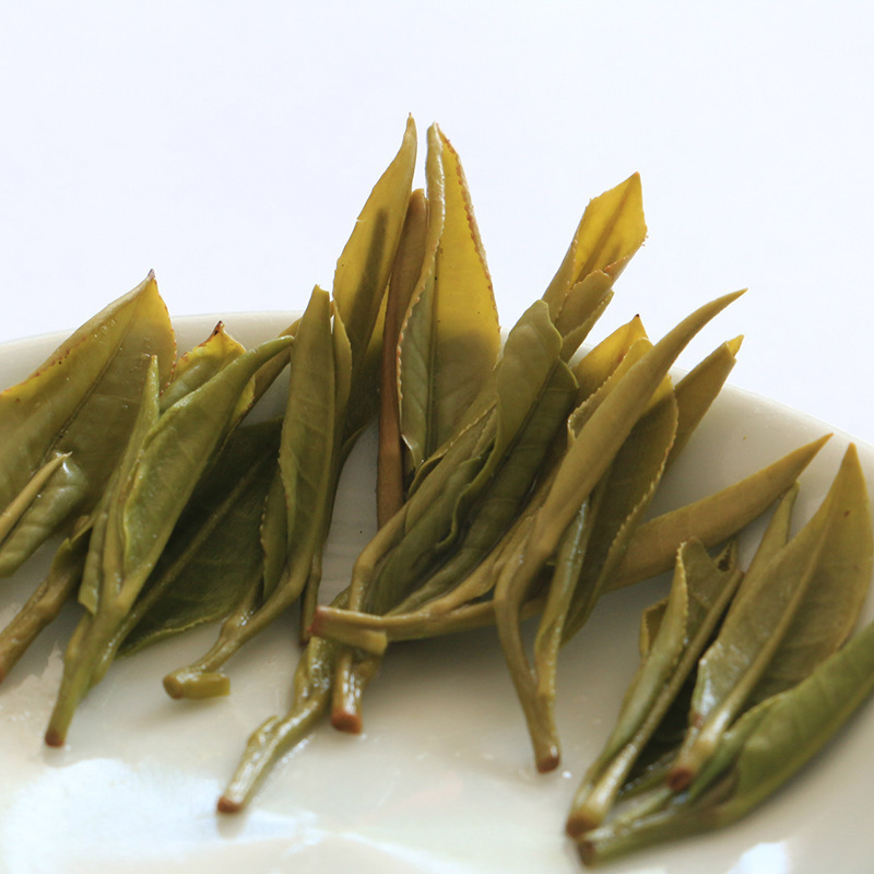 New tea top mountain tea for rain and rain