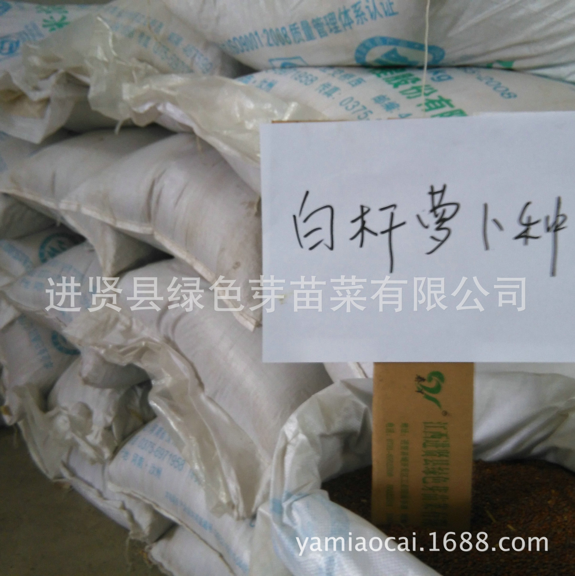 白萝卜种子 萝卜苗特色蔬菜芽苗菜种子种植批发