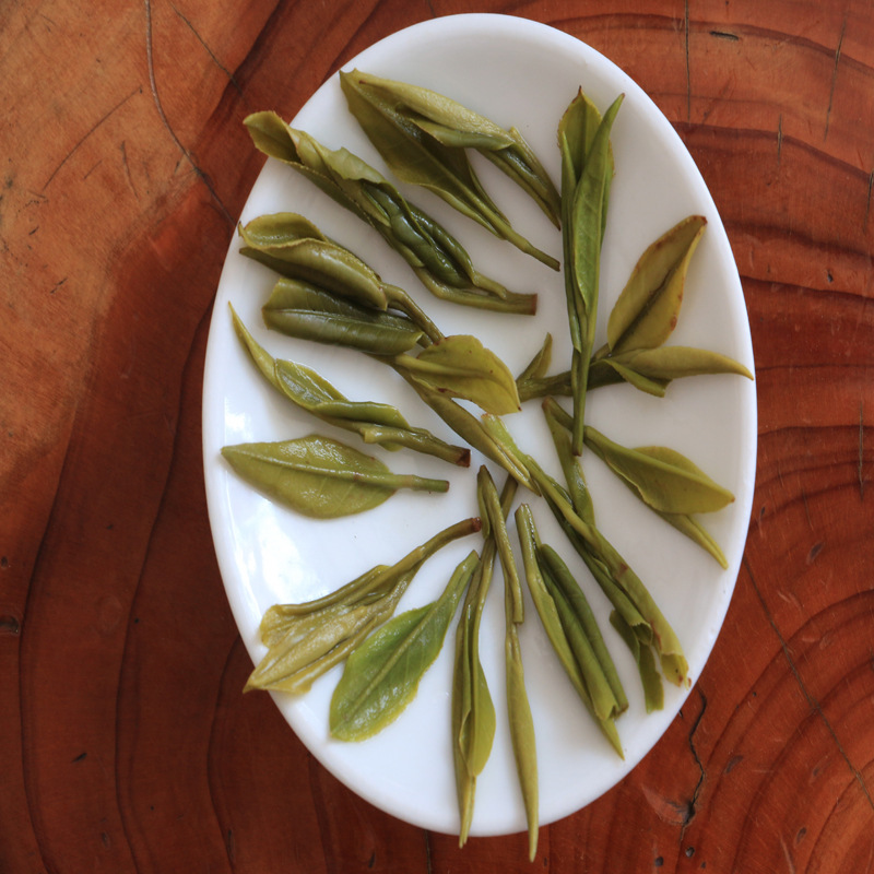 New Tea 2024, High Mountain, Bulk Tea Industry, Yu Jia-san, Yellow Sprouts