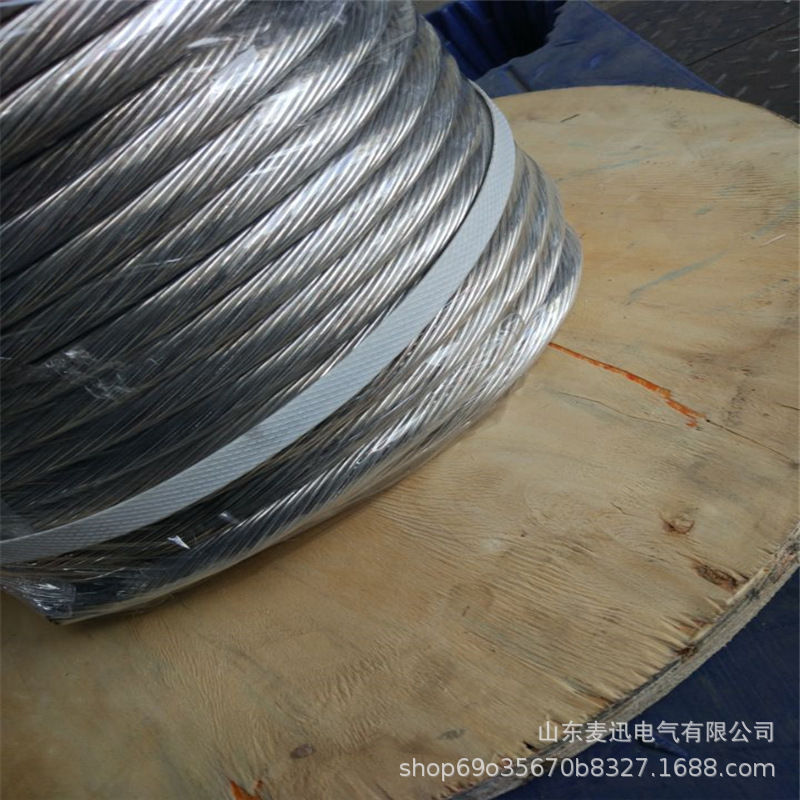 廠家95平方鍍銅鋼絞線 鍍錫銅鋼絞線 鍍錫銅絞線25mm平方現貨