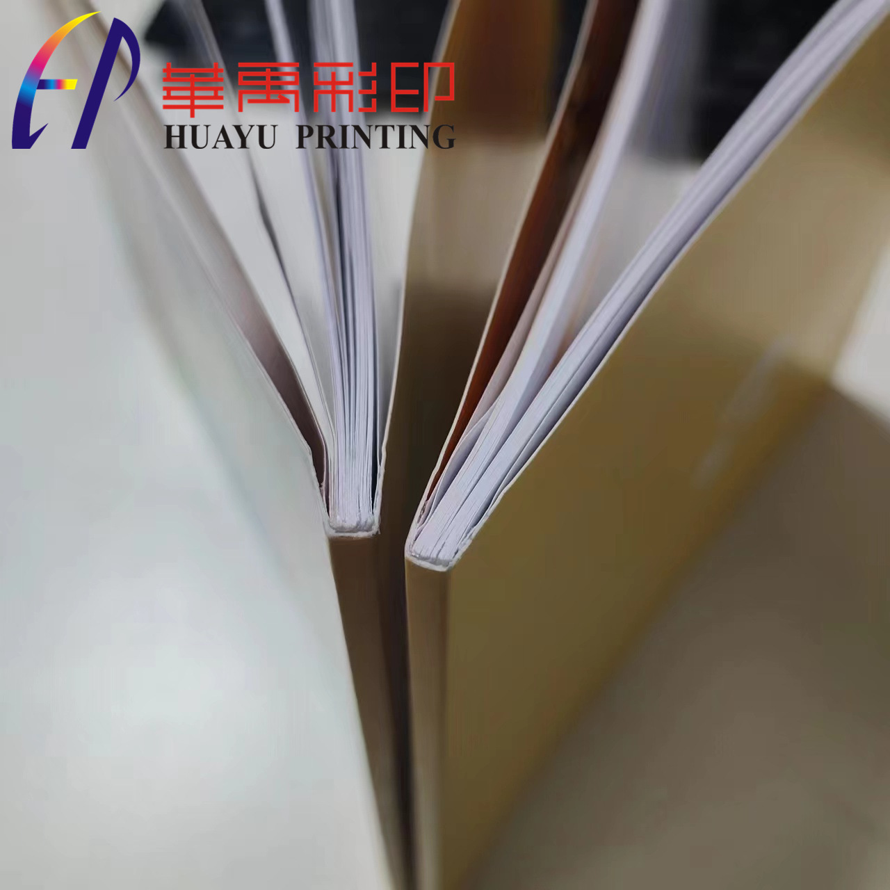 Digital printing of a poster book for the design and production of a product leaflet for the colour printing plant