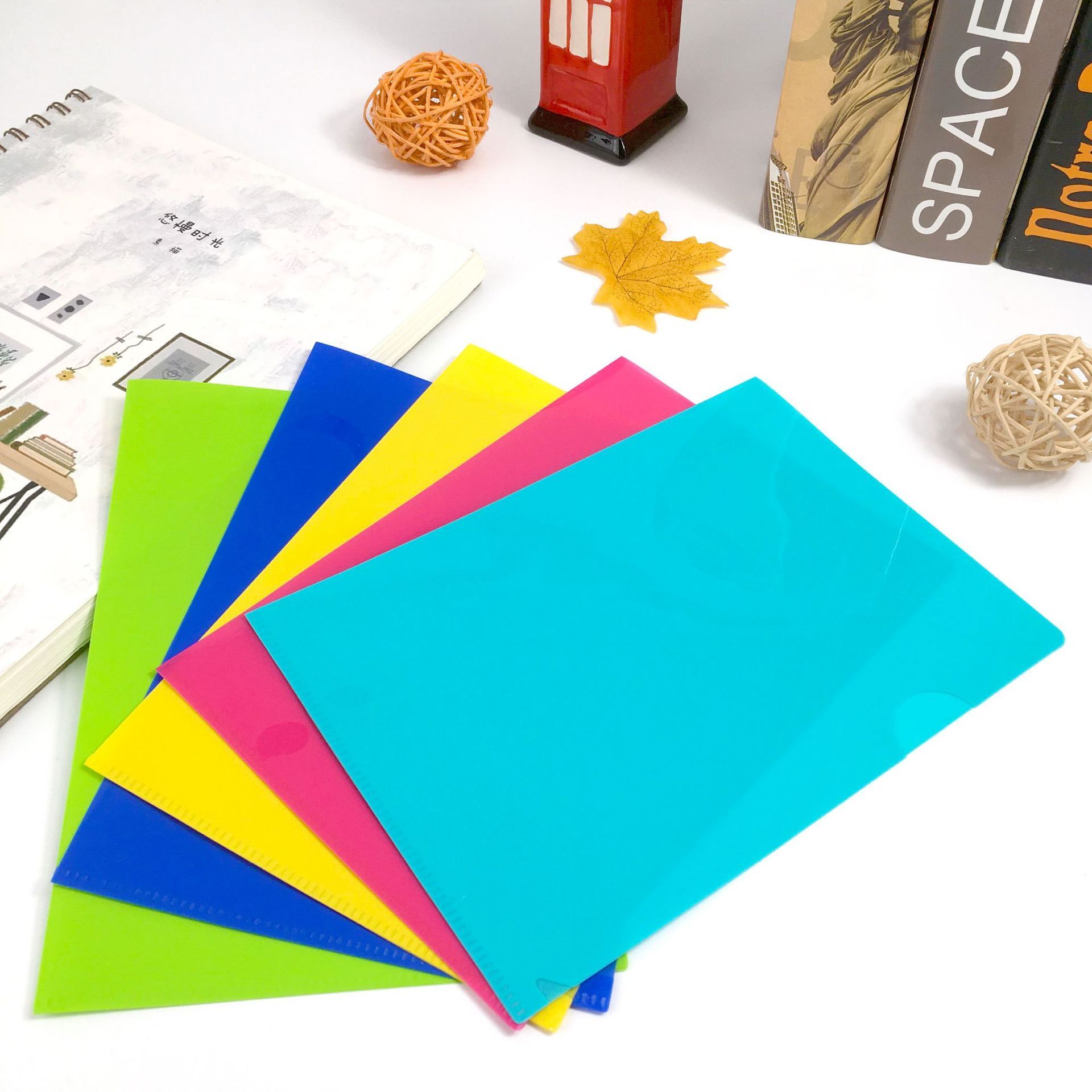 Thư mục hợp lệ PP- LPP phô bày đơn logo đã tùy chỉnh