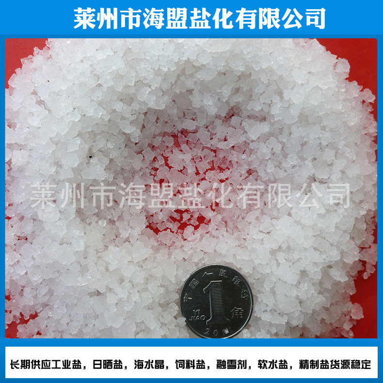 Sale of particulate industrial salt, rough and fine industrial salt bags, 50 kg shampoo and dyed wholesale