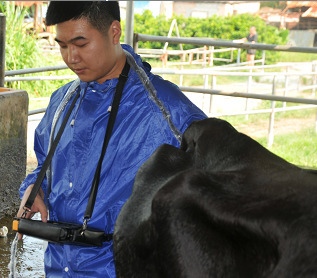 牛馬豬羊動物獸用B超機器超聲波醫療檢測儀器