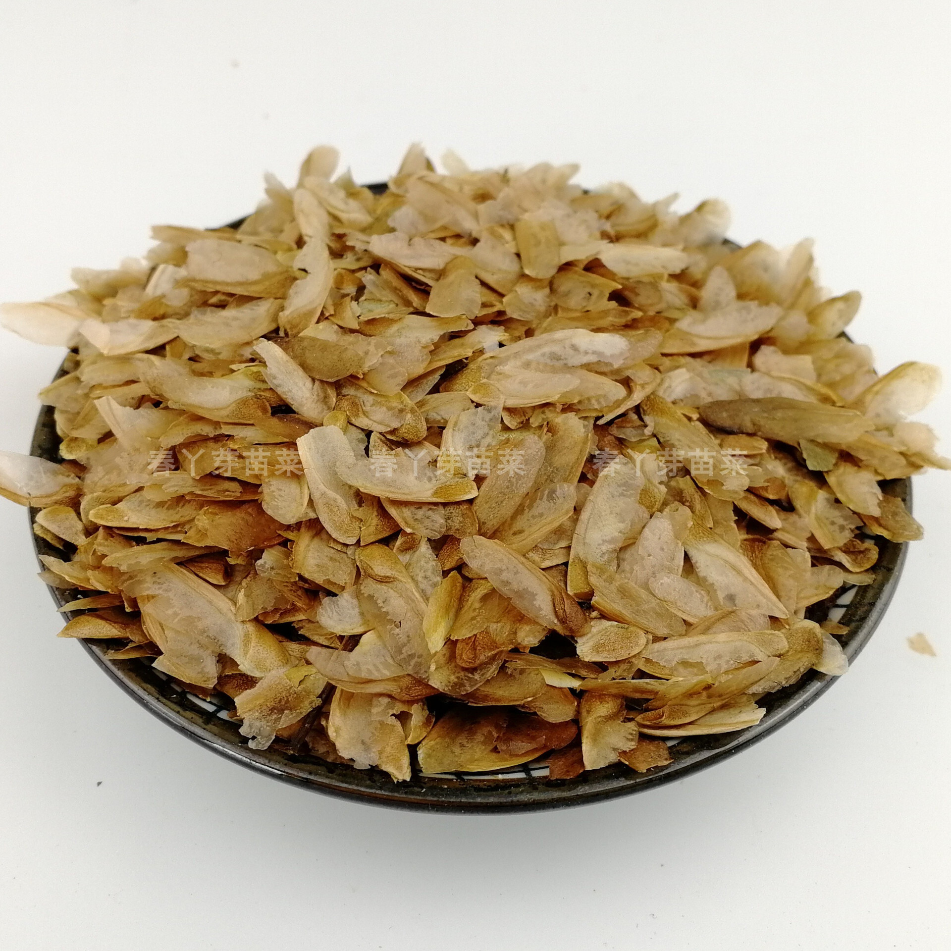 无土栽培红油香椿种子香椿毛籽带翅蔬菜芽苗菜种子批发