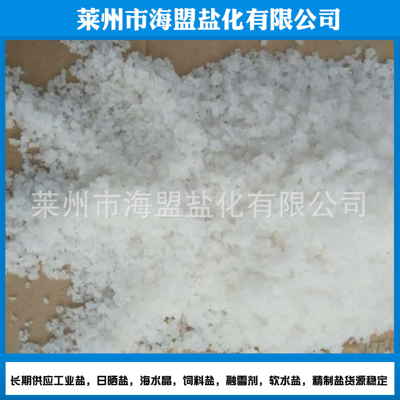 粉碎洗滌鹽無碘精製鹽 批發工業級精製鹽散裝 量大質優