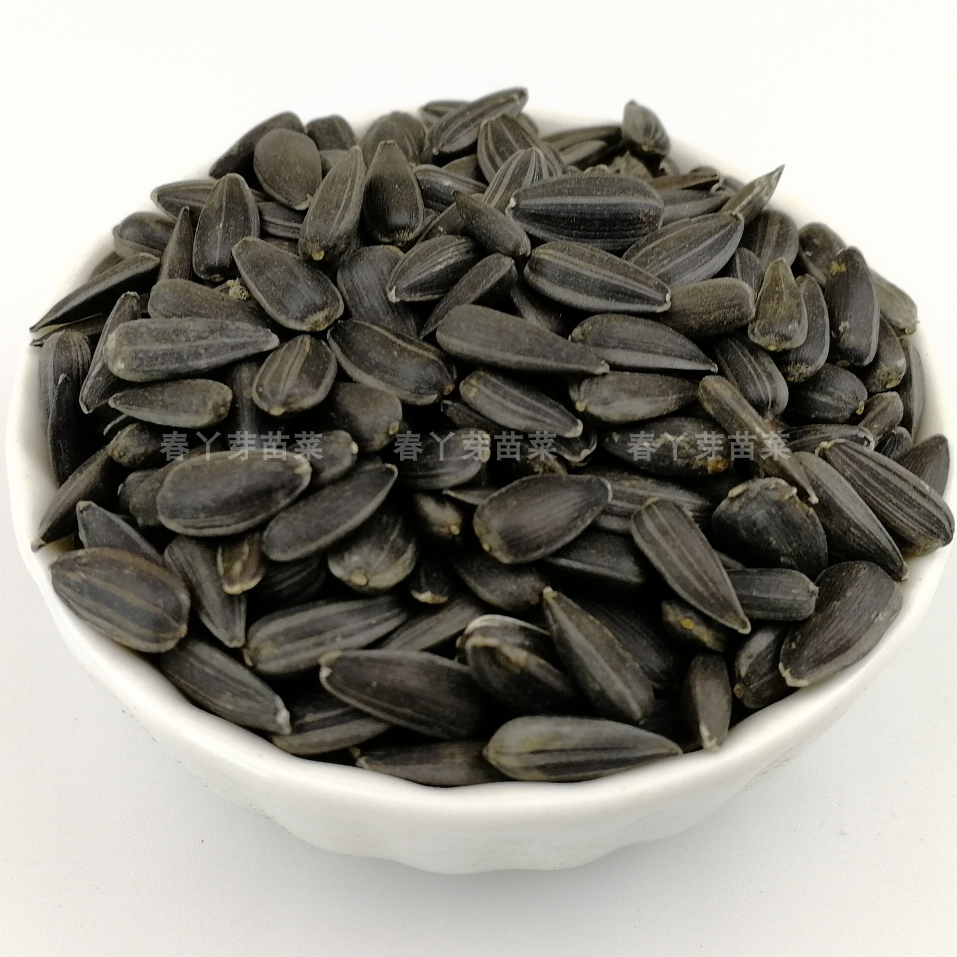 小粒油葵种子葵花籽苗发芽榨油特色阳台蔬菜芽苗菜种子