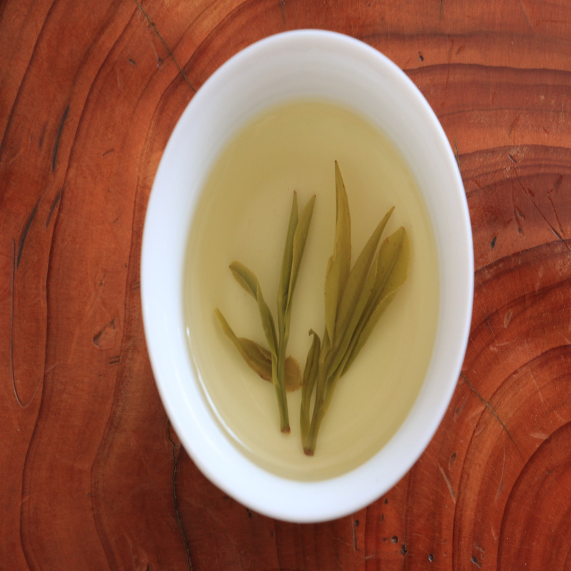 New Tea 2024, High Mountain, Bulk Tea Industry, Yu Jia-san, Yellow Sprouts